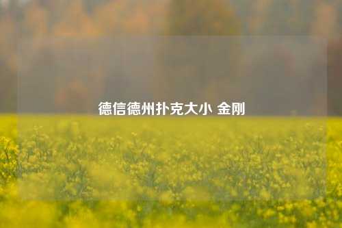 德信德州扑克大小 金刚