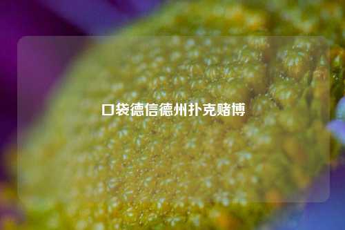 口袋德信德州扑克赌博