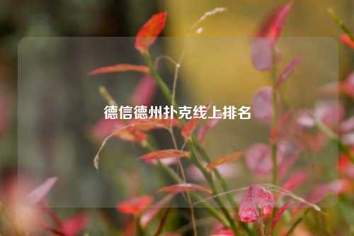德信德州扑克线上排名