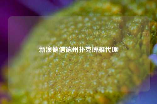 新浪德信德州扑克博雅代理