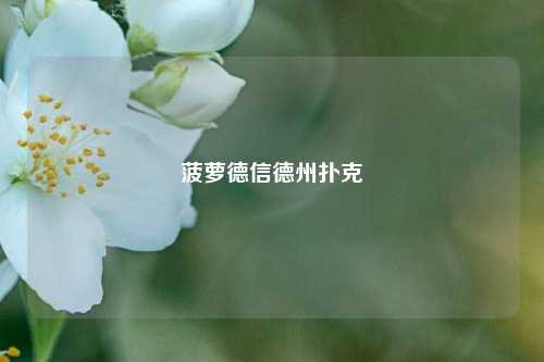 菠萝德信德州扑克