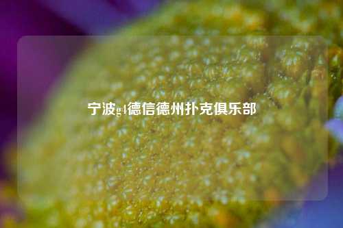 宁波g4德信德州扑克俱乐部