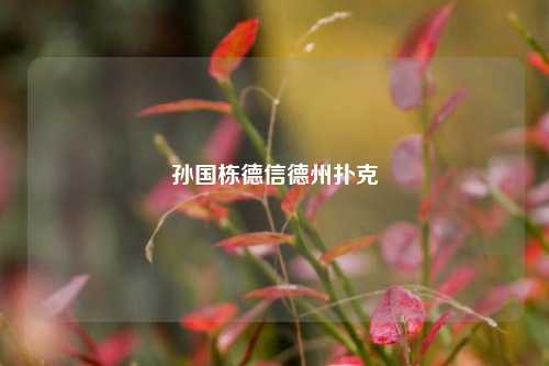 孙国栋德信德州扑克