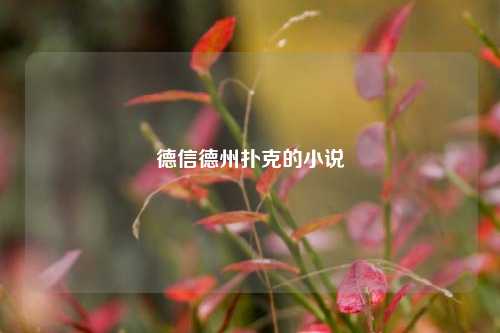 德信德州扑克的小说