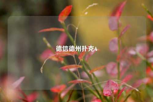德信德州扑克A