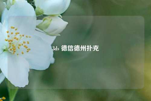 3ds 德信德州扑克