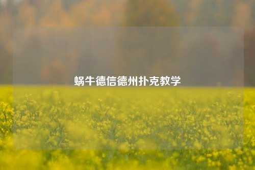 蜗牛德信德州扑克教学