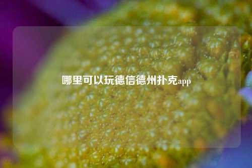 哪里可以玩德信德州扑克app